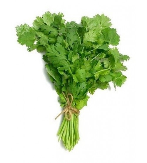 Coriander leaves /Cilantro ( ধনে পাতা )