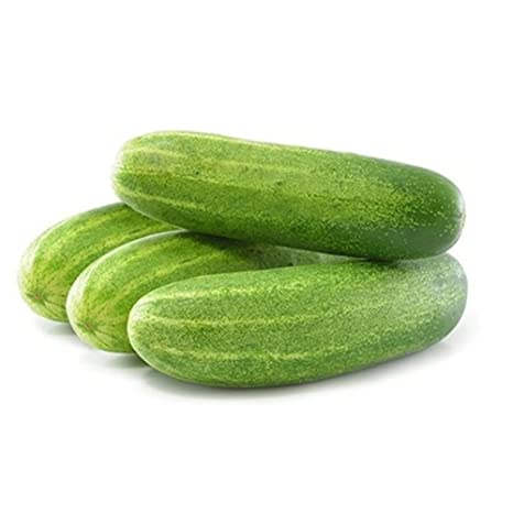 Cucumber (শশা)